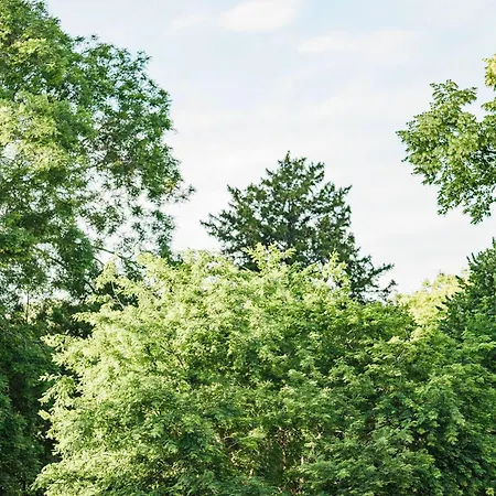 Le Chateau D Bed & Breakfast